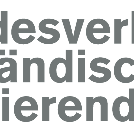 Logo Bundesverband ausländischer Studierender
